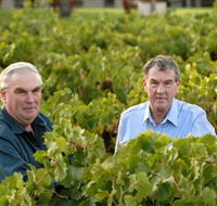 Campbells Wines - Accommodation Resorts