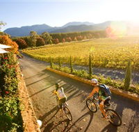 Boyntons Feathertop Winery - Accommodation Resorts