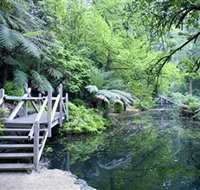 Alfred Nicholas Gardens - Accommodation Resorts