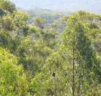 Bunyip State Park - Accommodation Resorts