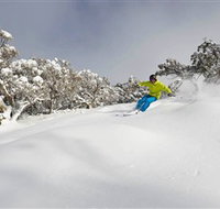 Mt Buller and Mt Stirling Alpine Resort - Accommodation Resorts