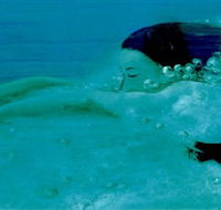 Muse - Accommodation Resorts