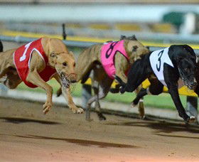 The Beckley Centre - Accommodation Resorts 0