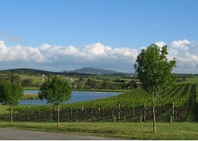 Yarrawood Estate - Accommodation Resorts 0