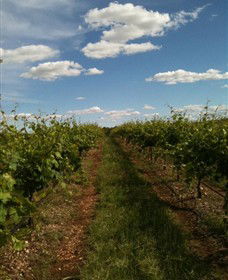 Chambers Rosewood Winery - Accommodation Resorts 0
