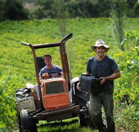 Kellybrook Winery  Kelly Brothers Cider - Accommodation Resorts