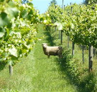 Passing Clouds - Accommodation Resorts