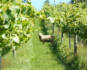 Passing Clouds - Accommodation Resorts 0