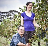 Anderson Winery - Accommodation Resorts