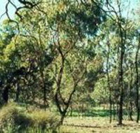 Leaghur State Park - Accommodation Resorts