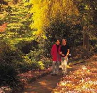 George Tindale Memorial Gardens - Accommodation Resorts