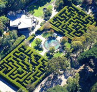 Ashcombe Maze  Lavender Gardens - Accommodation Resorts