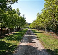 Waybourne Winery - Accommodation Resorts