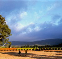 Mount Avoca - Accommodation Resorts