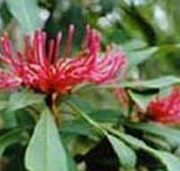 Alfred National Park - Accommodation Resorts