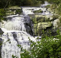 Agnes Falls Scenic Reserve - Accommodation Resorts