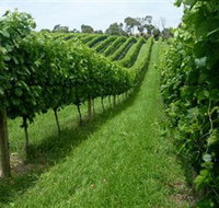 The Cups Estate - Accommodation Resorts