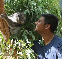 Healesville Sanctuary - Accommodation Resorts