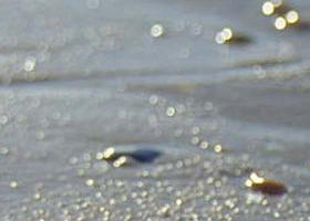 Walkerville South VIC Accommodation Resorts