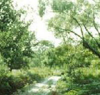 Holey Plains State Park - Accommodation Resorts