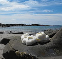 Calma Candles - Accommodation Resorts