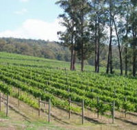 Piedmont Vineyard - Accommodation Resorts