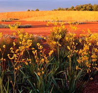 Royal Botanic Gardens Victoria Cranbourne - Accommodation Resorts