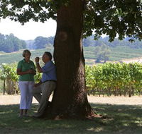Five Oaks Vineyard - Accommodation Resorts