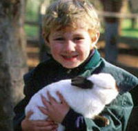 Maribyrnong Valley Parklands - Accommodation Resorts