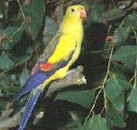 Lake Hindmarsh Reserve - Accommodation Resorts