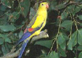 Lake Hindmarsh Reserve - Accommodation Resorts 0