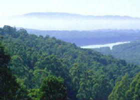  Accommodation Resorts