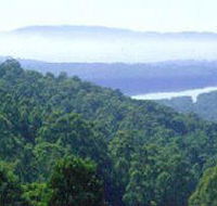 Kalorama Park - Accommodation Resorts