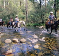 Howqua Hills Historic Area - Accommodation Resorts