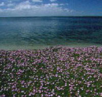 The Lakes National Park - Accommodation Resorts