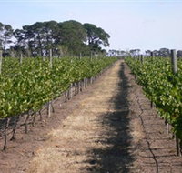 Mount Beckworth Wines - Accommodation Resorts