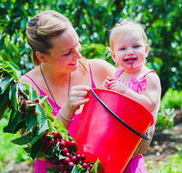 Cherryhill Orchards - Accommodation Resorts