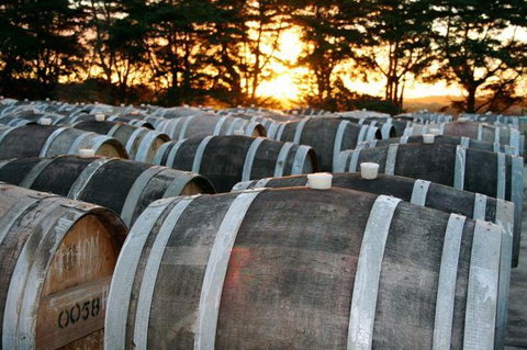 Dromana Estate - Accommodation Resorts 9