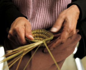 Accommodation Resorts