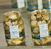 Broadwater Oysters - Accommodation Resorts