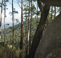 Gulaga National Park - Accommodation Resorts