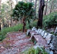 Wodi Wodi Walking Track - Accommodation Resorts