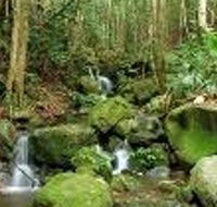 Budderoo National Park - Accommodation Resorts