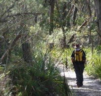 Barren Grounds Nature Reserve - Accommodation Resorts