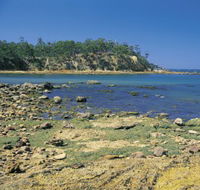 Aslings Beach - Accommodation Resorts