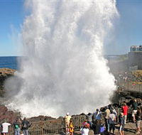 Kiama Blowhole - Accommodation Resorts