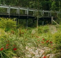 Eurobodalla Botanic Gardens - Accommodation Resorts