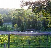 Lyrebird Ridge Organic Winery - Accommodation Resorts