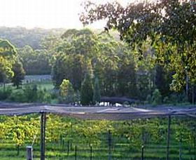 Lyrebird Ridge Organic Winery - Accommodation Resorts 0