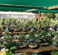 Bonsai at the Bay - Accommodation Resorts